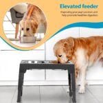 Large Dog Food Feeding Stand Station Stainless Steel Double Raised Bowls Feeding - Image 3