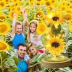 Mothers Day Gifts From Daughter Son, Eternal Sunflowers In Glass Dome With LED Lights & Gift Box, Unique Birthday Gifts For Women, Artificial Flowers Home Decor For Mum, Grandma, Wife - Sunflower Gift - Image 6